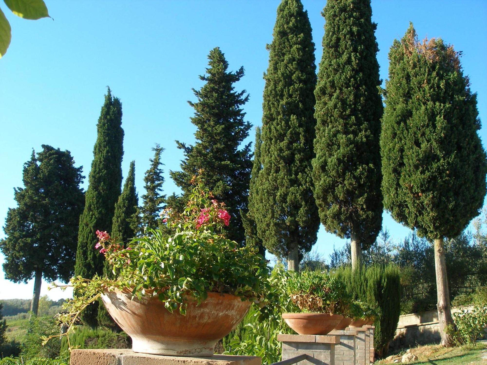 Podere Bellavista San Gimignano Exterior foto